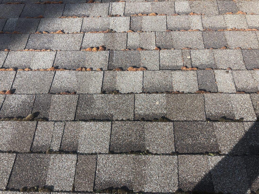 Moss and debris collecting in the keyways of a weathered asphalt roof